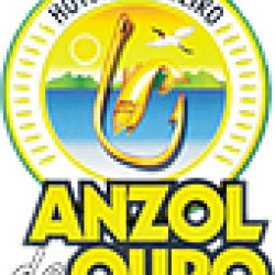 AnzoldeOuro